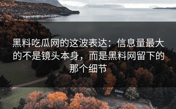 黑料吃瓜网的这波表达：信息量最大的不是镜头本身，而是黑料网留下的那个细节