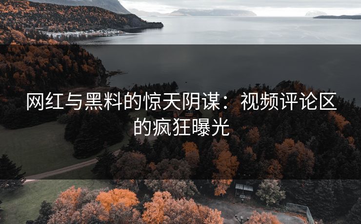 网红与黑料的惊天阴谋:视频评论区的疯狂曝光 网红与黑料的惊天阴谋:视频评论区的疯狂曝光