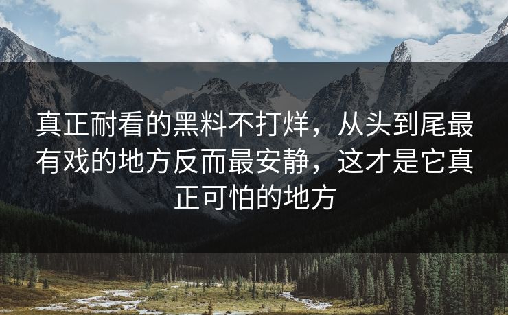 真正耐看的黑料不打烊,从头到尾最有戏的地方反而最安静,这才是它真正可怕的地方 真正耐看的黑料不打烊,从头到尾最有戏的地方反而最安静,这才是它真正可怕的地方